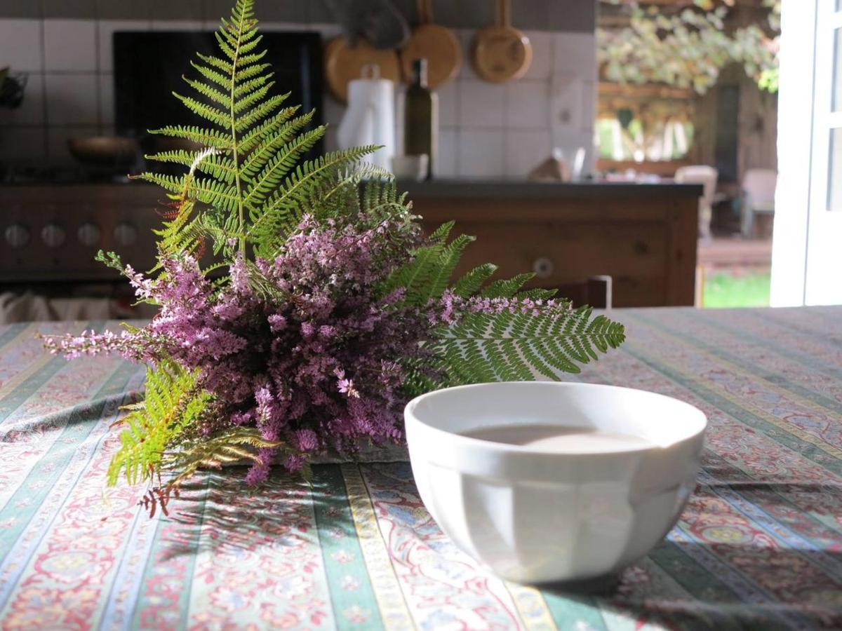 Les Jardins D'Atyoula Losse Εξωτερικό φωτογραφία
